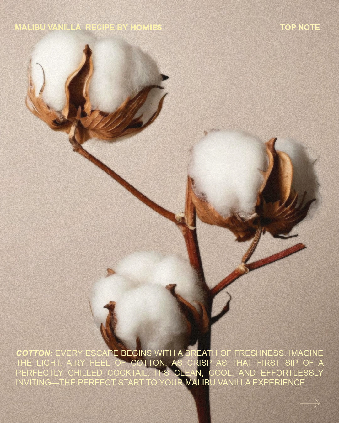 Jak zapach wpływa na nasze samopoczucie? Psychologia aromatów w Twoim domu.