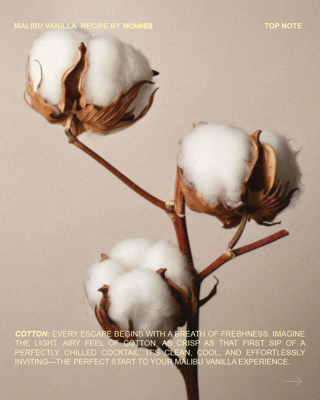 [malibu vanilla]© świeca zapachowa